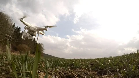 Drone flight over wheat field. Stock Footage 73731319