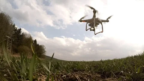 Drone flight over wheat field. Video stock 73731923