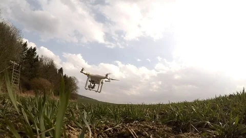 Drone flight over wheat field. Video stock 73732901