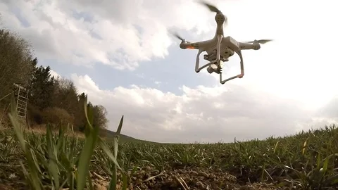 Drone flight over wheat field. Video stock 73733012