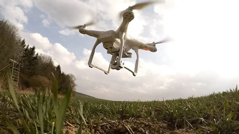 Drone flight over wheat field. Stock Footage 73740752