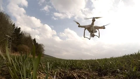 Drone flight over wheat field. Video stock 73741572