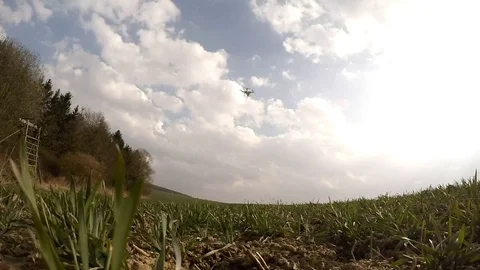 Drone flight over wheat field. Stock Footage 73741952