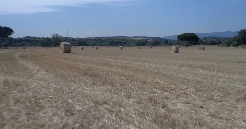 Drone flight over wheat field after harvest with straw bales Stock-Footage 91940909