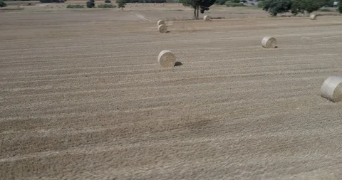 Drone flight over wheat field after harvest with straw bales Stock Footage 91940945