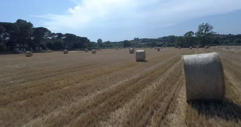 Drone flight over wheat field after harvest with straw bales Stock-Footage 91941027