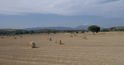 Drone flight over wheat field after harvest with straw bales Stock-Footage 91941152