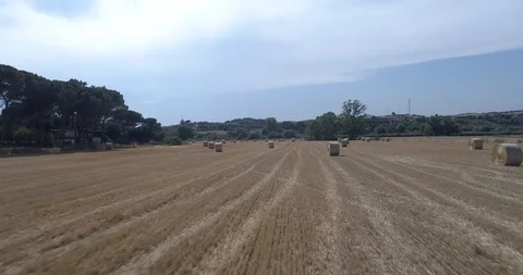 Drone flight over wheat field after harvest with straw bales Stock-Footage 91941270