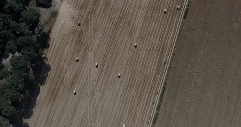 Drone flight over wheat field after harvest with straw bales Stock-Footage 91941315