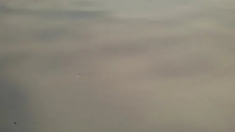 Drone flight over white sand Stock Footage 138536481