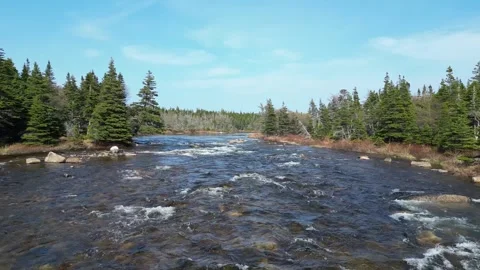 Drone Flight Over Whitewater River Rapids Stock Footage 253259511