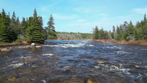 Drone Flight Over Whitewater River Rapids Stock Footage 253259783