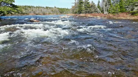 Drone Flight Over Whitewater River Rapids Stock Footage 253259788