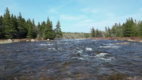 Drone Flight Over Whitewater River Rapids Stock Footage 253259812