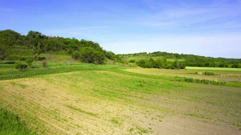 Drone flight over wild grass and agricultural field under bright blue sky Stock Footage 263114826
