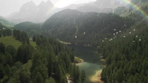 Drone flight over winding river valley with seagulls Stock Footage 325338125