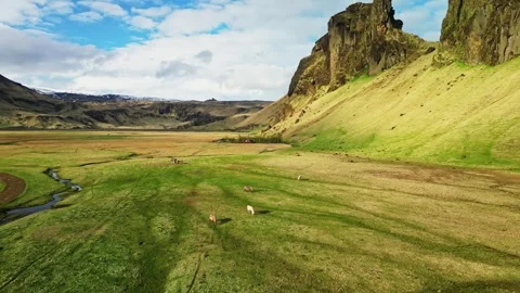 Drone flight over winding stream in dramatic Iceland valley 4K Stock-Footage 344113507