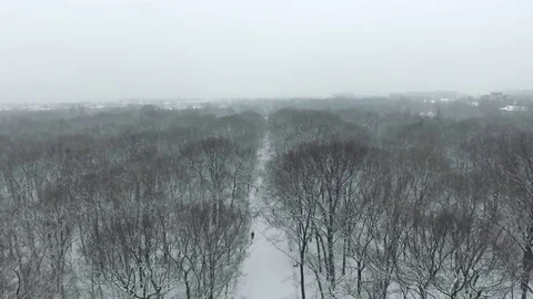 Drone flight over winter city and park. Stock Footage 72535469