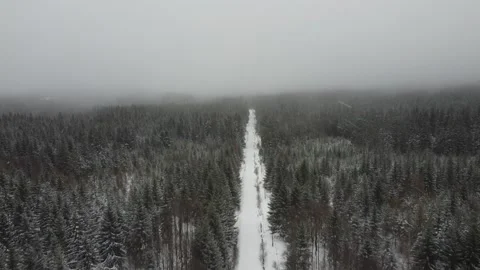 Drone flight over a winter forest with a snowy path in a snowstorm and clouds Stock Footage 248250830