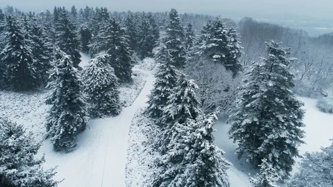 Drone flight over the winter park. National Botanical Garden of Kiyv, Ukraine Stock Footage 85842348