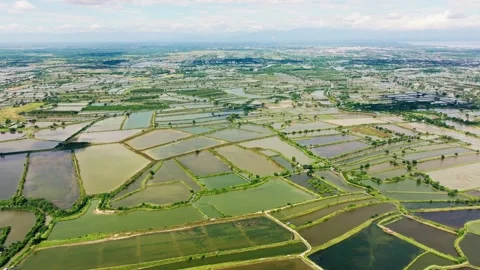 Drone Flight Parallel to Horizon, Human Shaped Fishpond Landscape, Pangasinan Stock-Footage 328506005