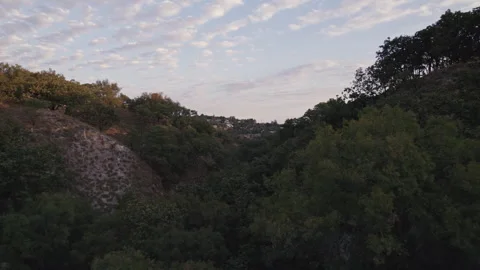 Drone flight at Pinar de La Venta forest Stock Footage 241462034