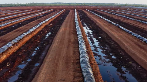 Drone flight from right to left. Aerial view of peat extraction bog. Stock Footage 317933422