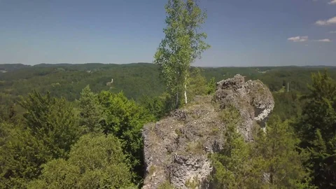 Drone flight rocks forest trees in Bavaria, Germany Stock Footage 95797258