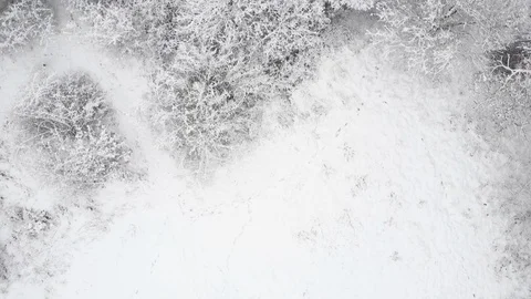 Drone flight in snow landscape over trees Stock Footage 102149033