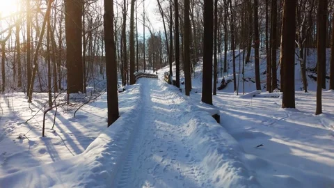 Drone Flight Snowy Park Path to Wooden Bridge Winter Morning 4K Video stock 329317177