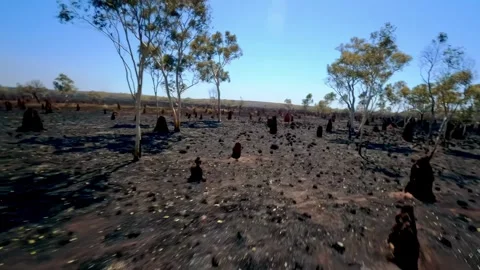 Drone flight on the termite mounds in the Northern Territory, Australia Stock Footage 262933824