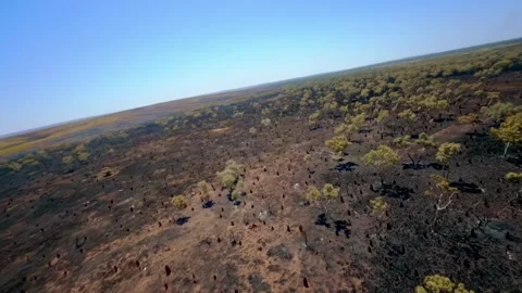 Drone flight on the termite mounds in the Northern Territory, Australia Stock Footage 262934183