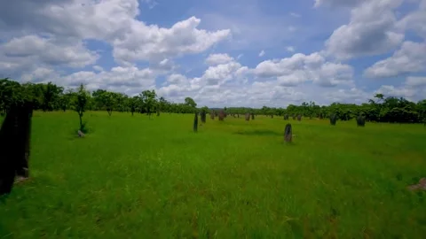 Drone flight on the termite mounds in the Northern Territory, Australia Stock Footage 262939656