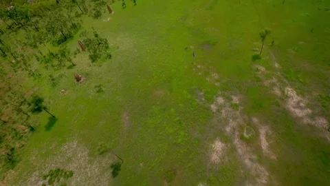 Drone flight on the termite mounds in the Northern Territory, Australia Stock Footage 262939749