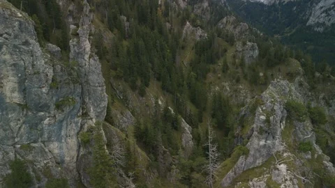 "Drone Flight Through Bavarian Alps Mountains" Stock Footage 318642422
