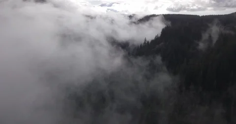 Drone Flight Through Cloudy Forest Valley Stock Footage 99987377