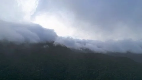 Drone Flight Through Dense Fog Over Ilhabela Rainforest Vídeos de archivo 334617441
