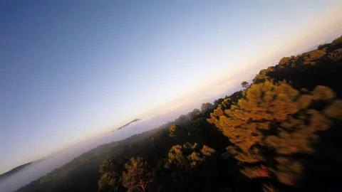 Drone flight through the landscapes of La mussara mountain  of Catalonia, Spain. Vidéo 159974649
