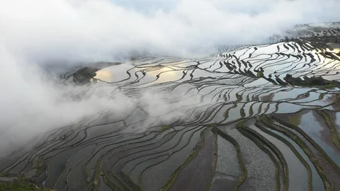 Drone flight through mist and fog of amazing rice terrace fields in China Video stock 109536431