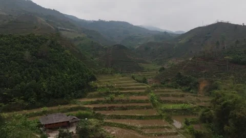 Drone flight through misty Na Pheo rice fields in Vietnam Vidéo 331352058