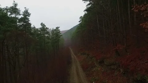 Drone Flight Through Misty Valley Stock Footage 71337051