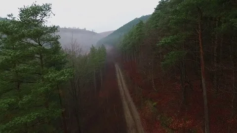 Drone Flight Through Misty Valley  Stock Footage 71337452
