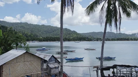 Drone flight through palm trees overlooking fishing boats Stock Footage 275522120