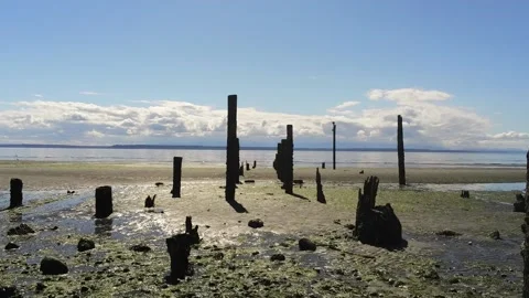 Drone Flight through pilings Stock Footage