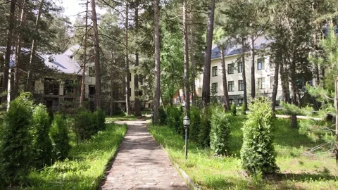 Drone flight through pine forest at mountain resort Stock Footage 337048224