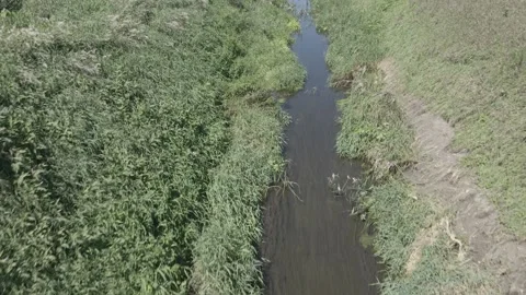 Drone Flight Through Rural Drainage Ditch Toward River in Iowa – 4K Video stock 315974084