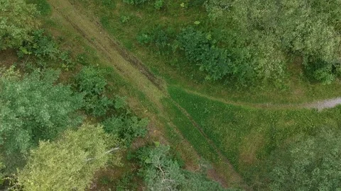 Drone flight through a swedish forest Stock Footage 113764182