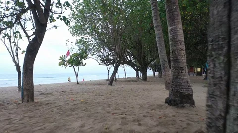 Drone Flight Through Trees at the Beach Bali Stock Footage 119904253