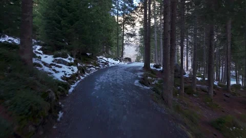 Drone Flight through trees of Lake Oeschinensee In Kandersteg, Switzerland 스톡 동영상 293786600