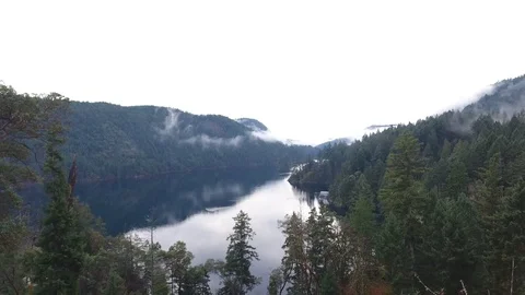 Drone flight through trees to open lake Video stock 126981841